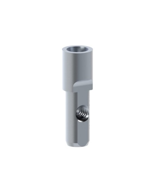Análogo compatível com Anthogyr® Axiom® BL
