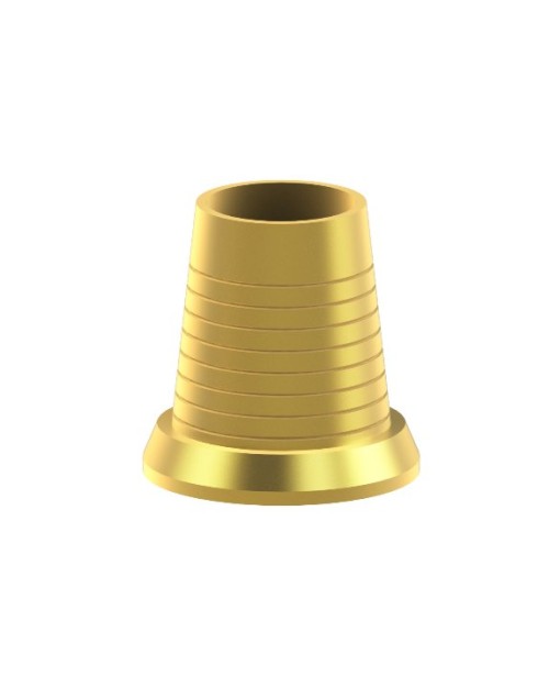 Hollow Ti-Base compatible with Zimmer® SwissPlus®