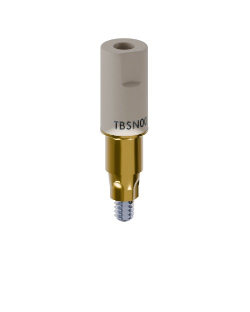 Scanbodies compatible with MIS® C1®