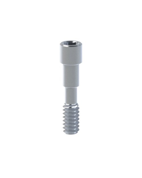 Screws compatible with Camlog® Conelog®