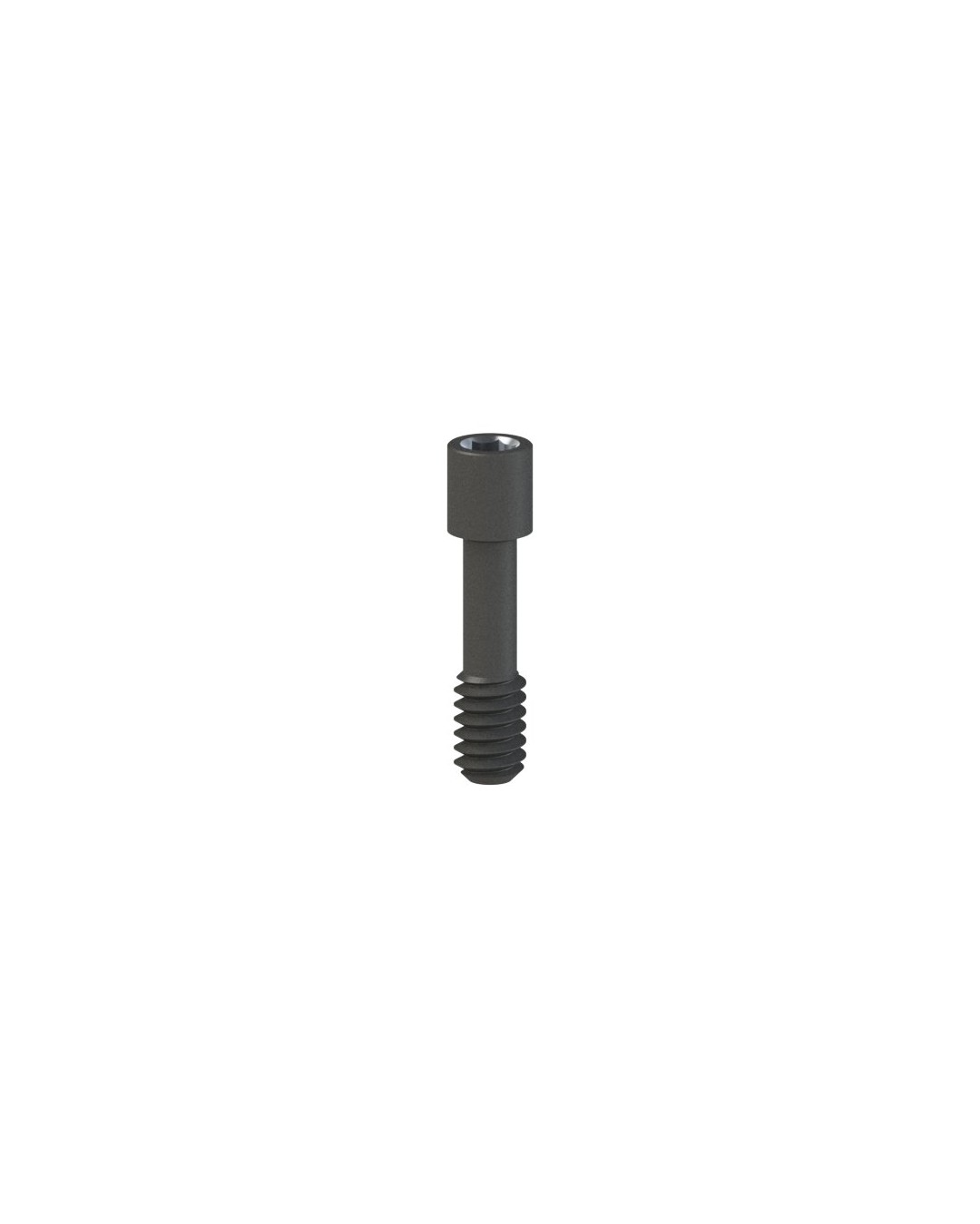 Screws compatível com Zimmer® SwissPlus®